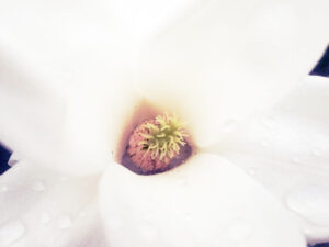 戦後80年に思うこと〜戦争世代の記憶〜